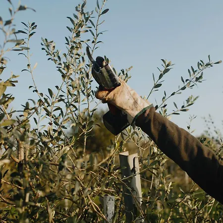 בית חווה Casa Agricola Anna *