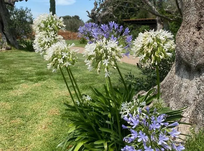 Casa Anna, Castellana Farm stay Gallipoli