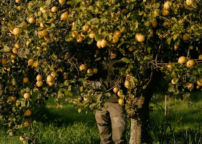 Farm stay Casa Anna, Castellana Gallipoli
