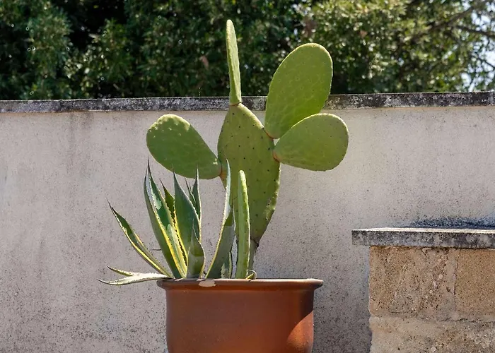 Casa Anna, Castellana Farm stay *