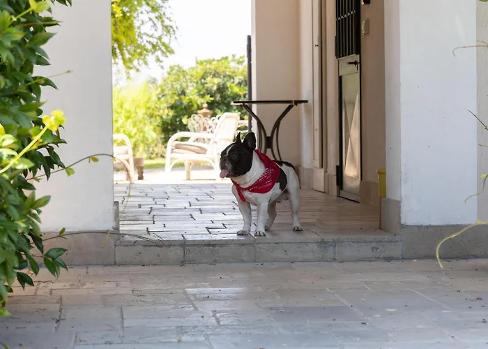 Casa Anna, Castellana Farm stay