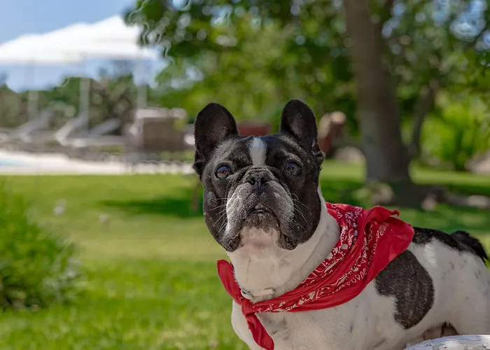 Casa Anna, Castellana Gallipoli