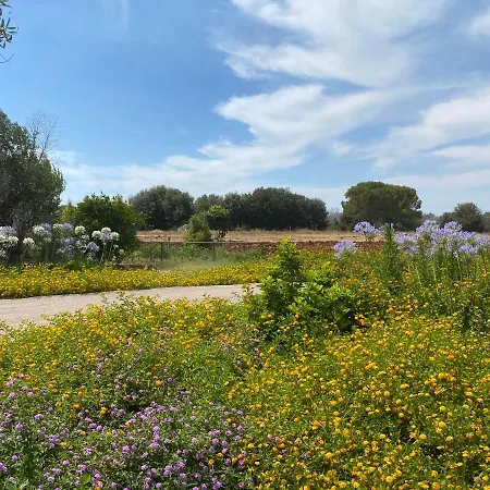 Casa Anna, Castellana Farm stay