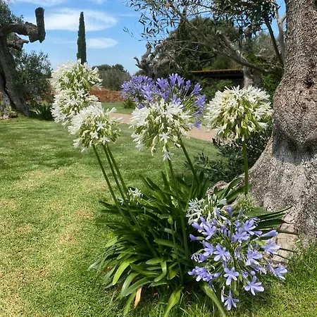 Casa Anna, Castellana Farm stay Gallipoli