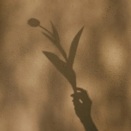 Casa Anna, Castellana Farm stay