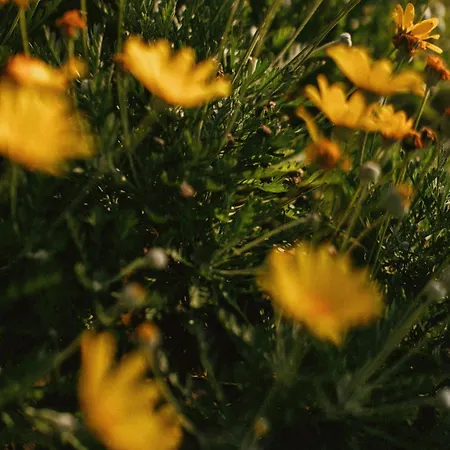 Casa Anna, Castellana Séjour à la ferme Gallipoli