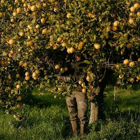Séjour à la ferme Casa Anna, Castellana Gallipoli