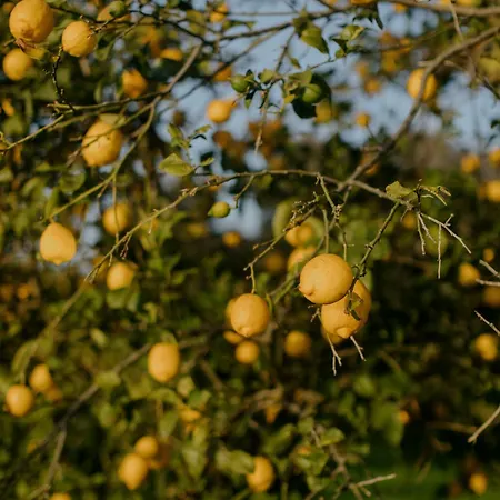 Casa Anna, Castellana