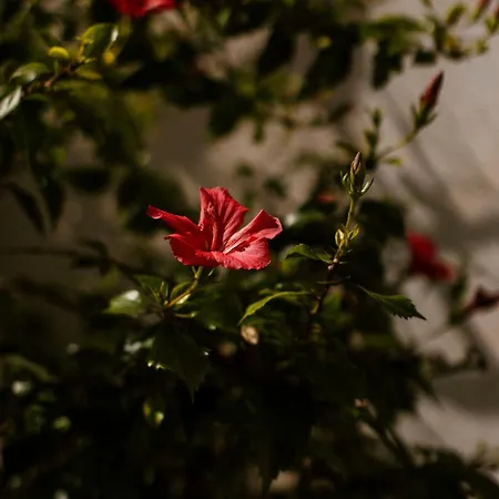 Séjour à la ferme Casa Anna, Castellana *