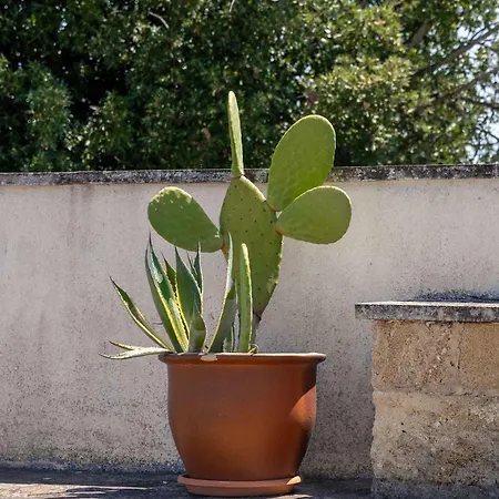 Casa Anna, Castellana Farm stay *