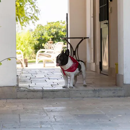 Casa Anna, Castellana Farm stay