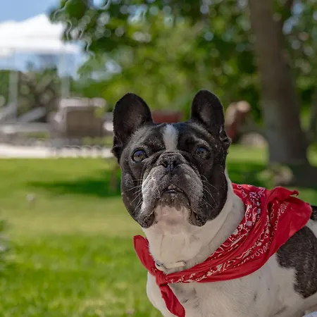 Casa Anna, Castellana Gallipoli