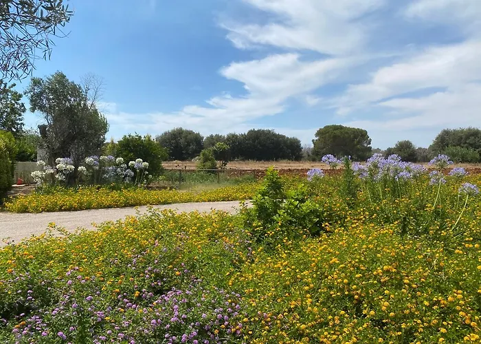 Casa Anna, Castellana Gospodarstwo agroturystyczne
