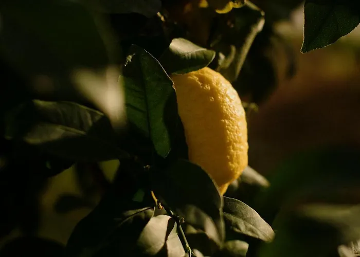 Casa Anna, Castellana Feriegård *