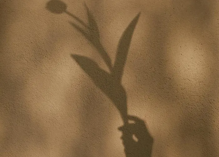 Casa Anna, Castellana Feriegård