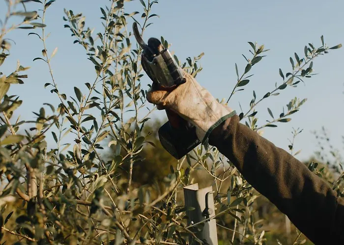 Gospodarstwo agroturystyczne Casa Anna, Castellana *