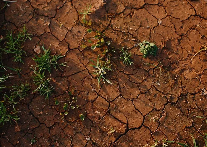 Casa Anna, Castellana Gospodarstwo agroturystyczne