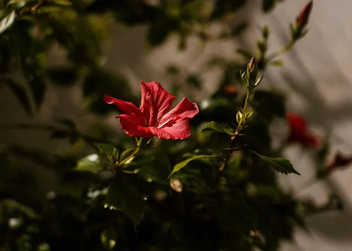 Gospodarstwo agroturystyczne Casa Anna, Castellana *