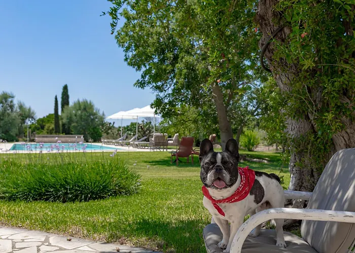 Gospodarstwo agroturystyczne Casa Anna, Castellana Gallipoli